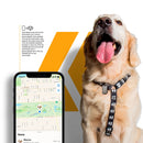 ITAG - LOCALIZADOR RASTREADOR - FUNÇÃO AIRTAG BUSCAR APPLE - CHAVEIRO - GSHIELD